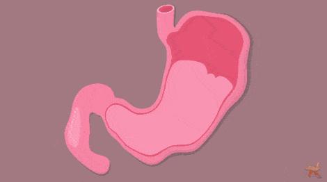 胃病怎么得来的粤语,胃病是怎么来的中医解答