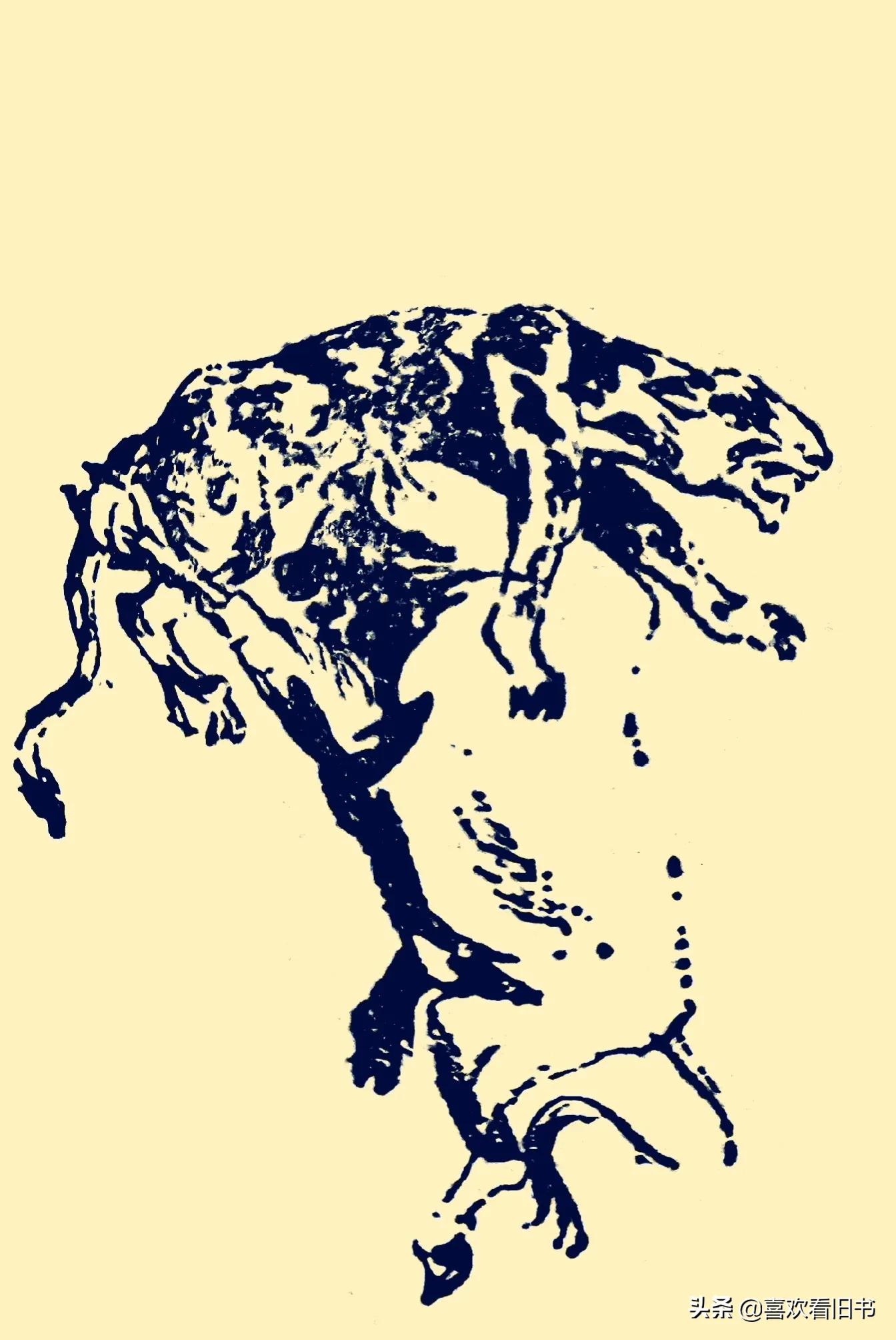 民间故事小白狐报恩,民间故事老黄牛救小黄牛