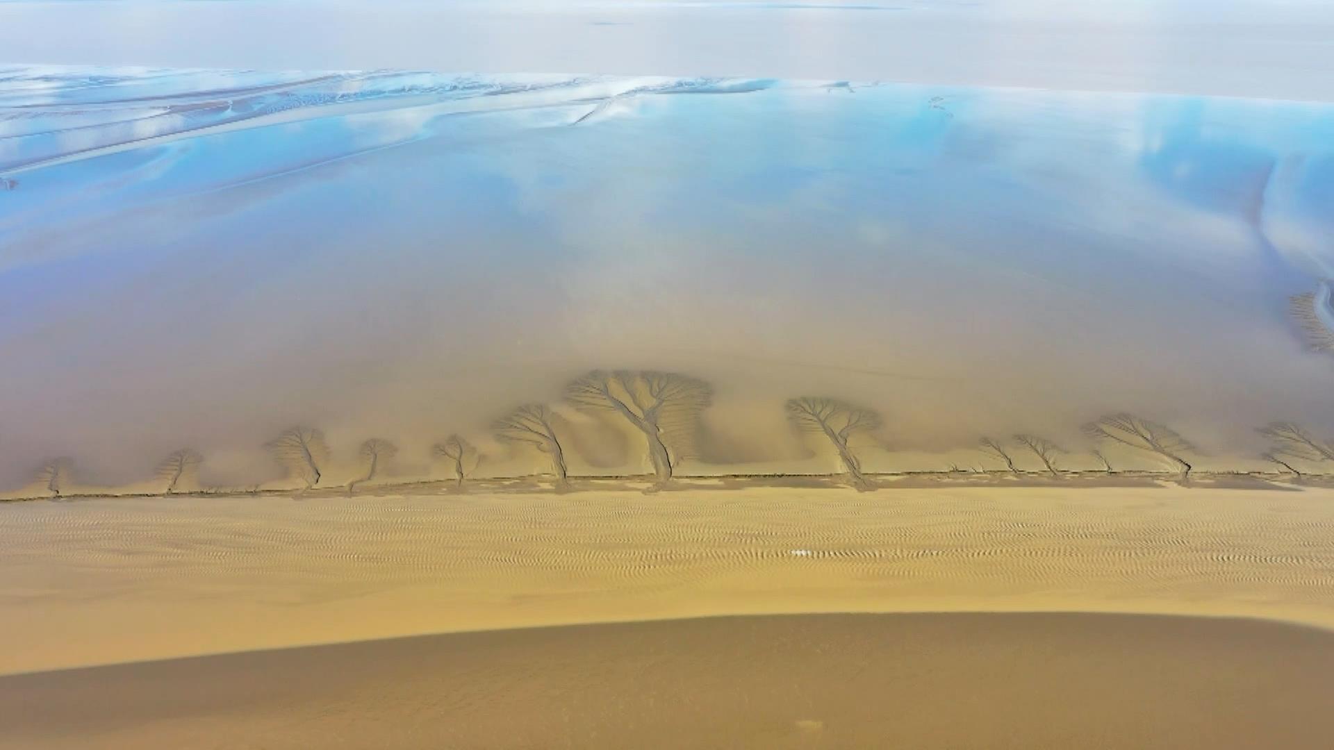 江苏时政公众号,时政微视频江苏