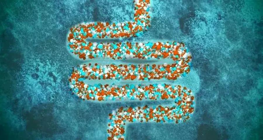 肠道菌群讲解视频,如何入门肠道菌群研究