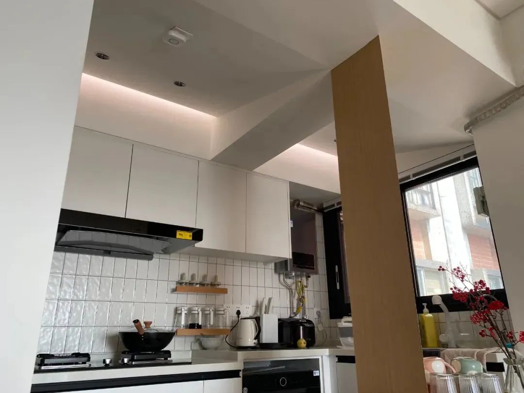 好室发声|不愧是“猫屋”的天花板!这个家的自由属于人和猫