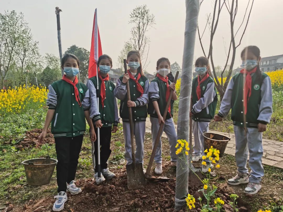 成都天府新区永兴镇小学规划,天府新区永兴小学