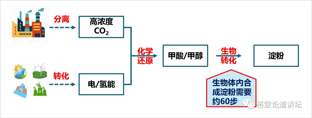 二氧化碳变成淀粉靠谱吗,用二氧化碳合成的淀粉怎样吃