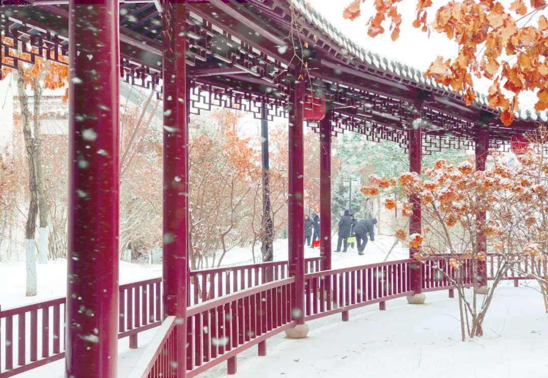 冬日诗词里雪的十种美,36首冬雪诗词带你感受冬日的雪