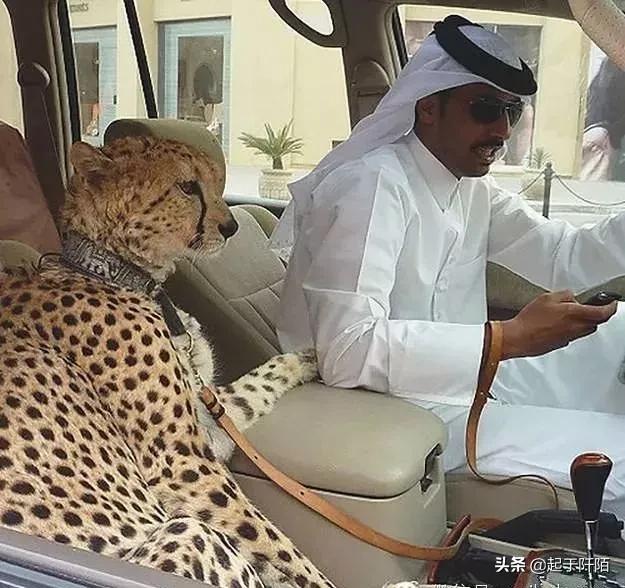 迪拜现状带你看看真实的迪拜,迪拜的真实现状纪录片