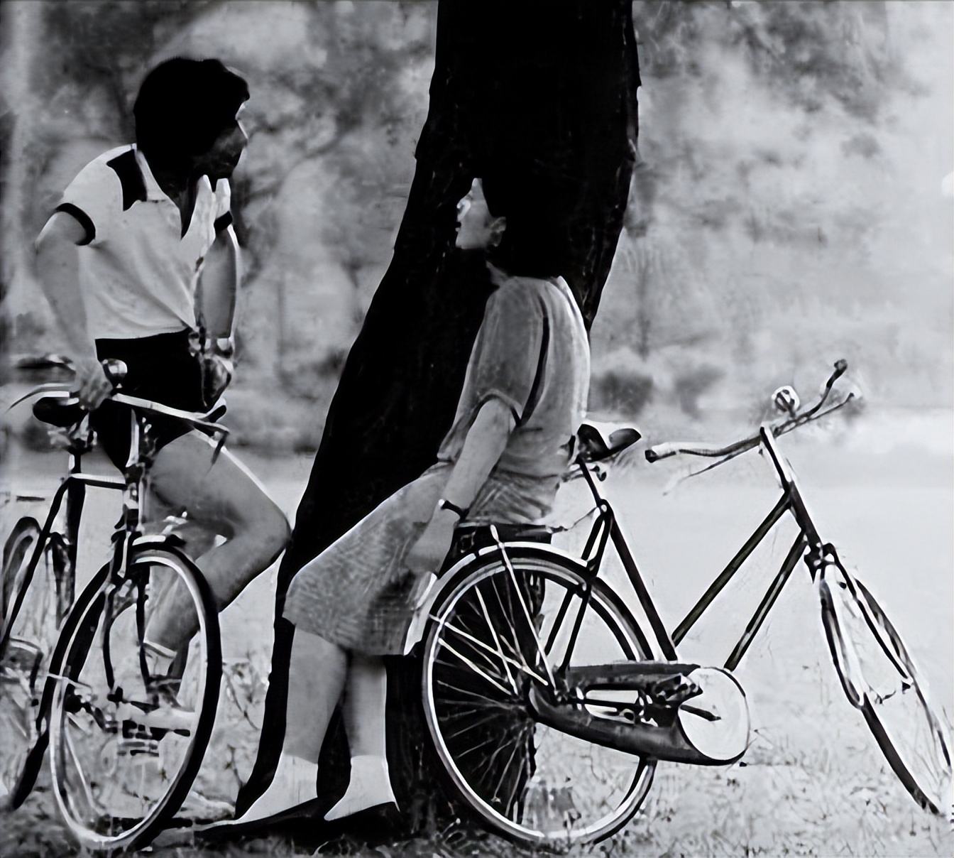 86年的凤凰牌自行车现在值多少钱,20年以前凤凰自行车现在值多少钱