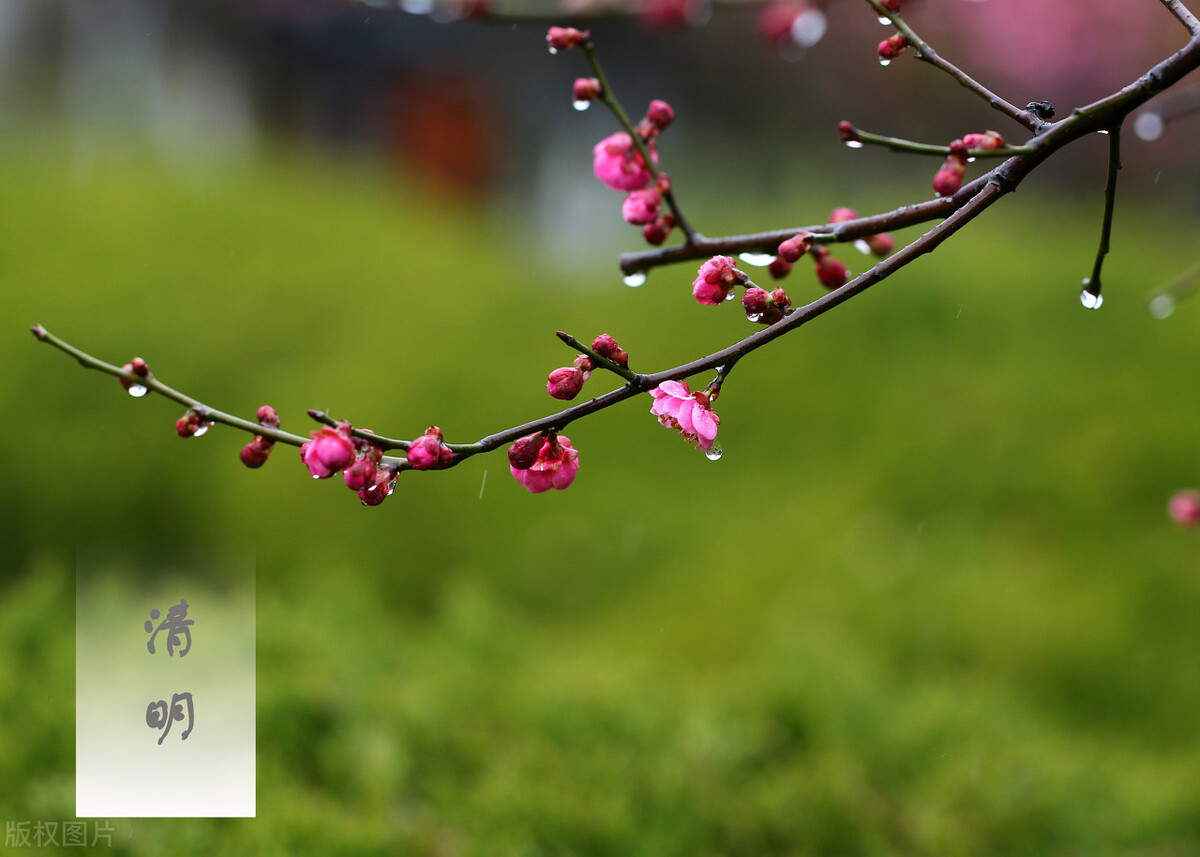 墓碑上有明故先考是什么意思,家谱上的考妣是什么意思怎么读