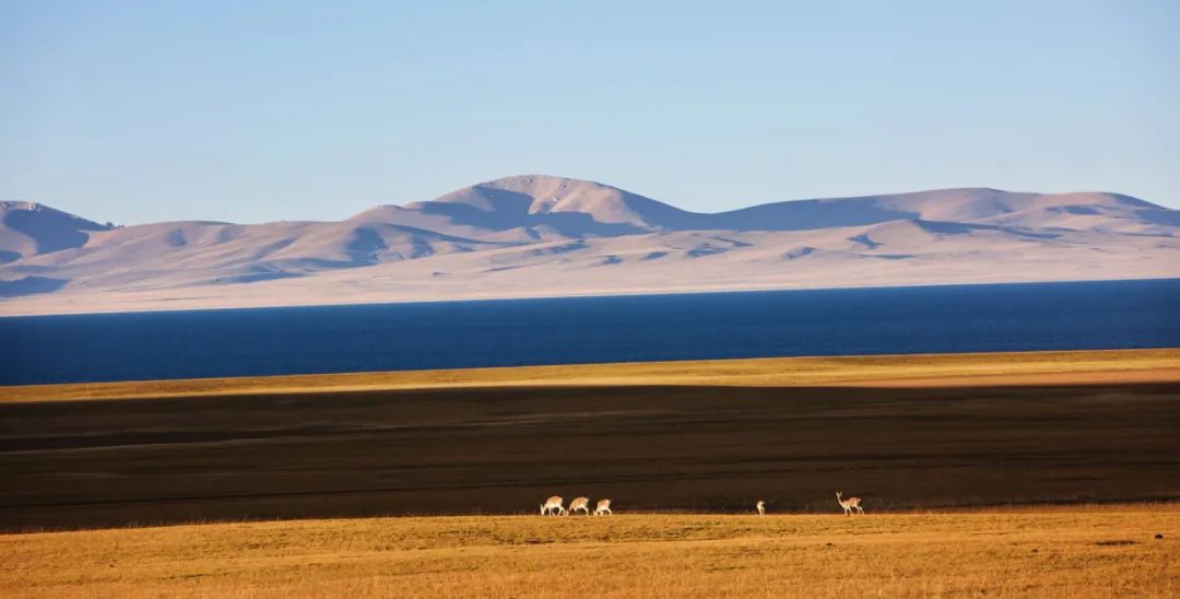 新藏线几月走最好全程线路详细,新藏线13天详细路线