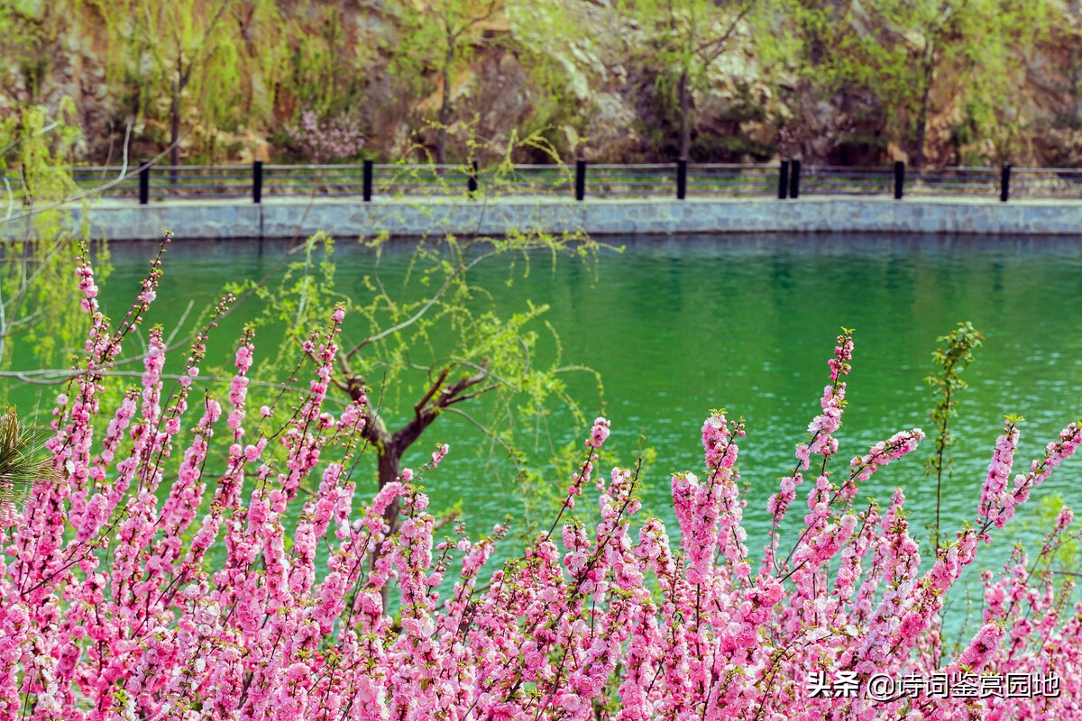 梅花垂柳竞*光春**,晏几道2首写早春景色的词,哪一首更美呢?
