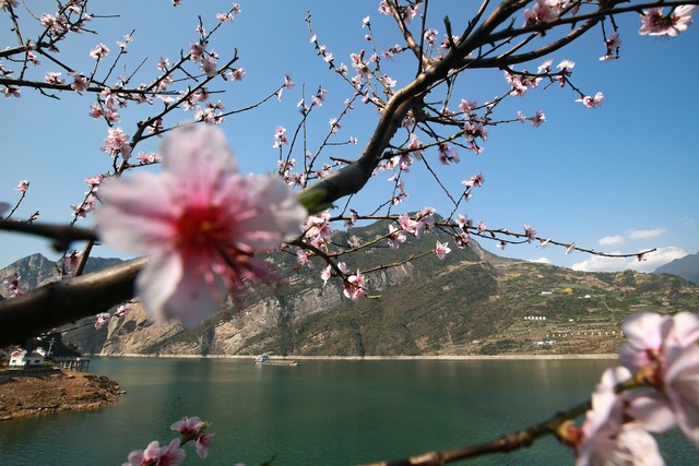 生活潇洒洒脱的诗句,大千世界迷人眼下一句