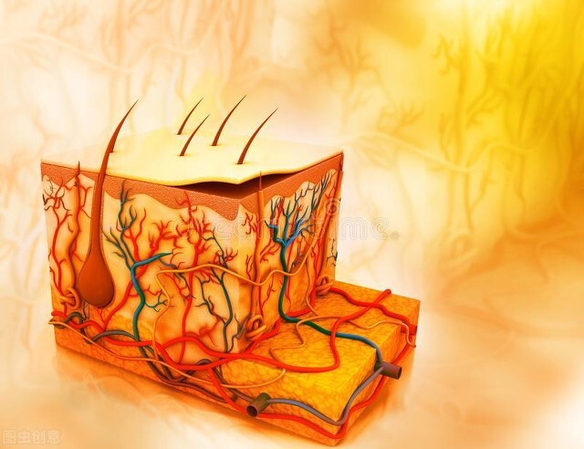 护肤干货你必须知道精华液的知识,护肤精华液的正确使用方法和步骤