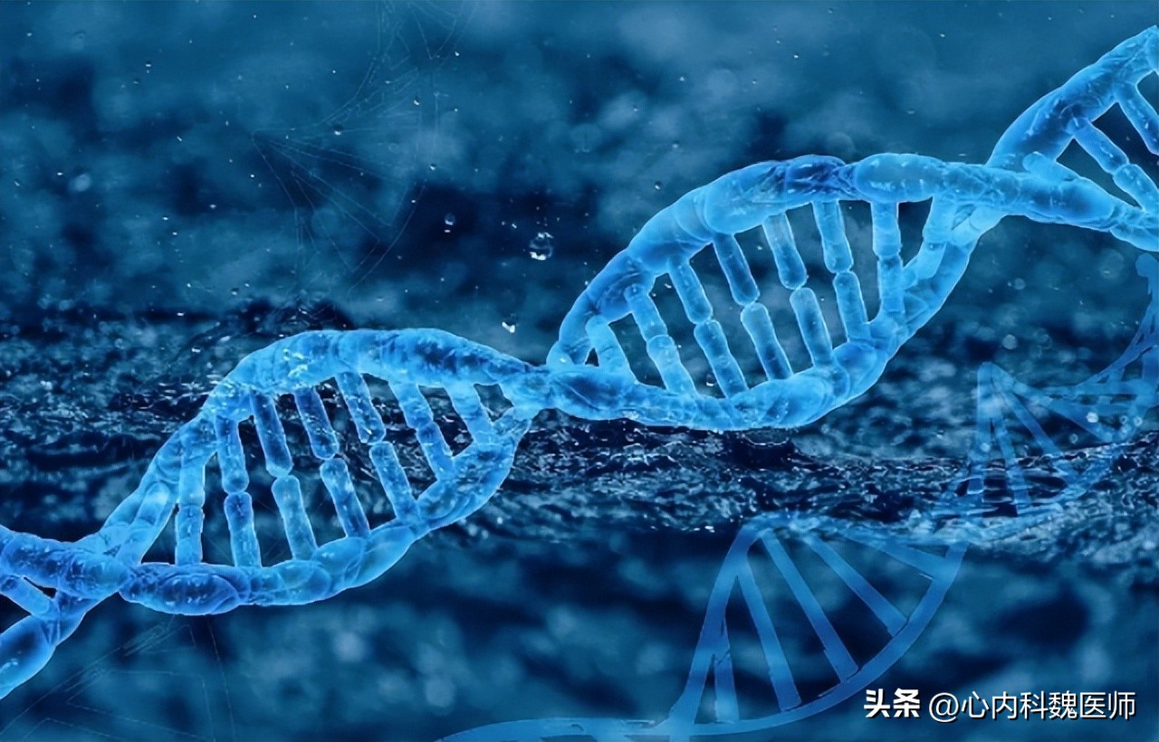 低密度脂蛋白高怎么才能降下来,低密度脂蛋白高怎样降下来