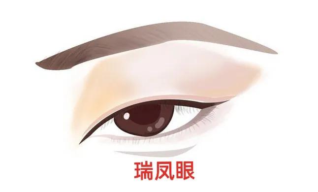 男人常见的眼型测试,常见好看的眼型