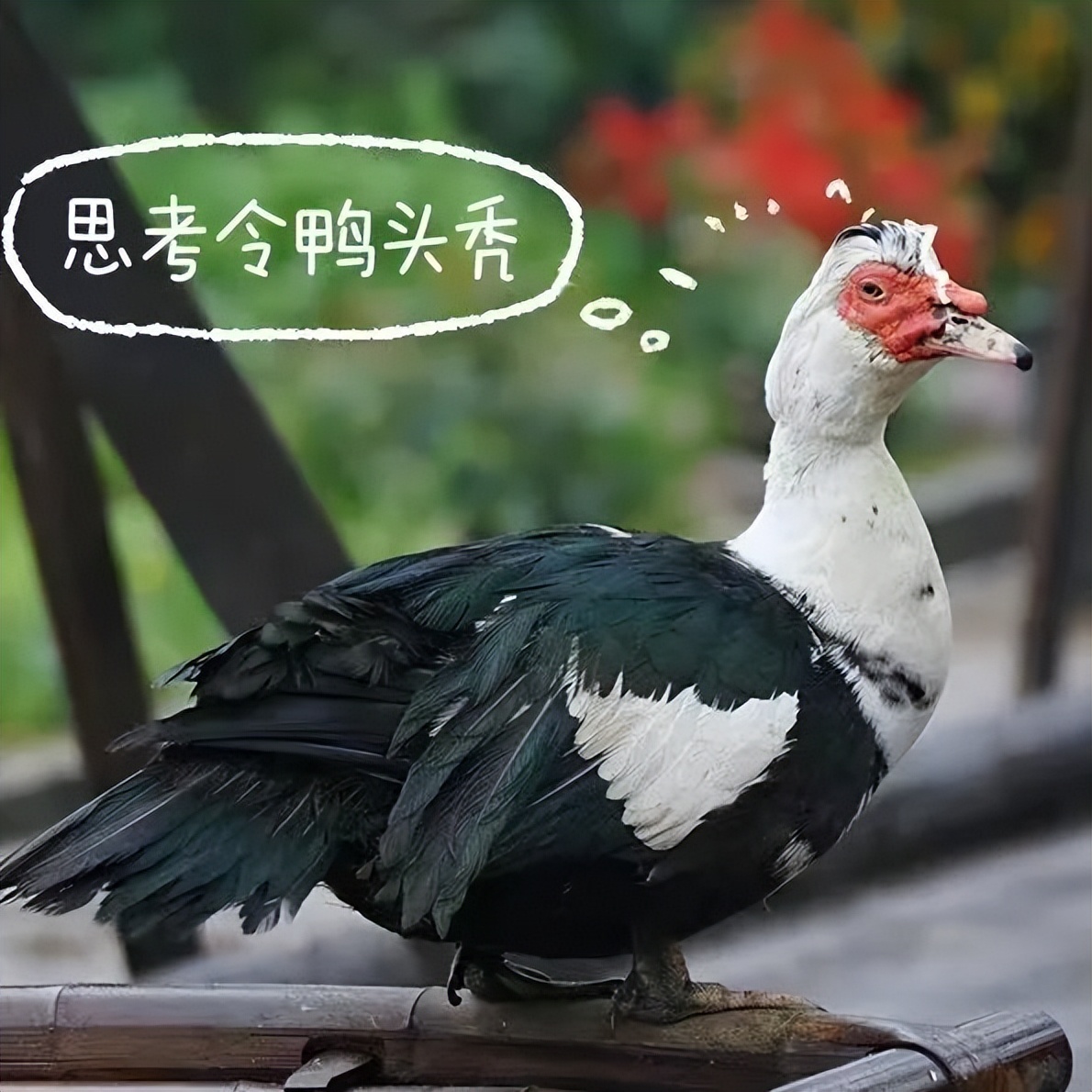 阳转阴后别急着运动,阳了转阴后切记做的事