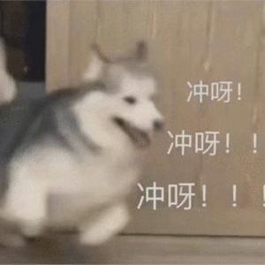 香港转机回内地入境攻略,海外香港转机回大陆攻略