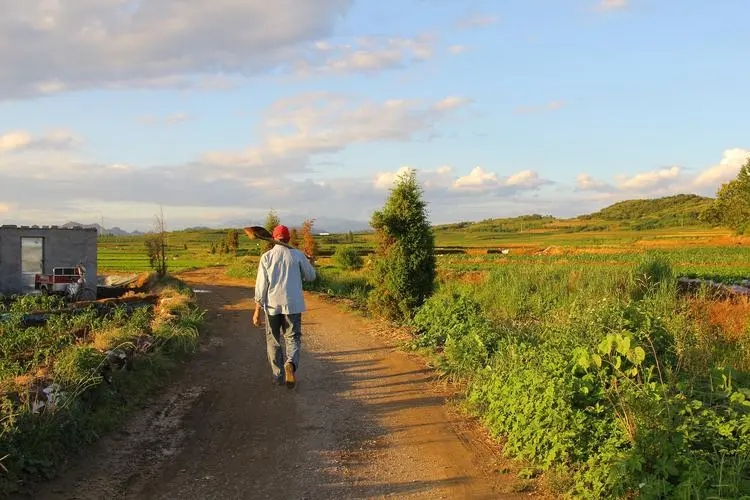 深度还原当代年轻人啃老,当代年轻人啃老现状