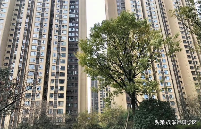 成都教科院学校学区房,成都教科院附属学校东区对应楼盘