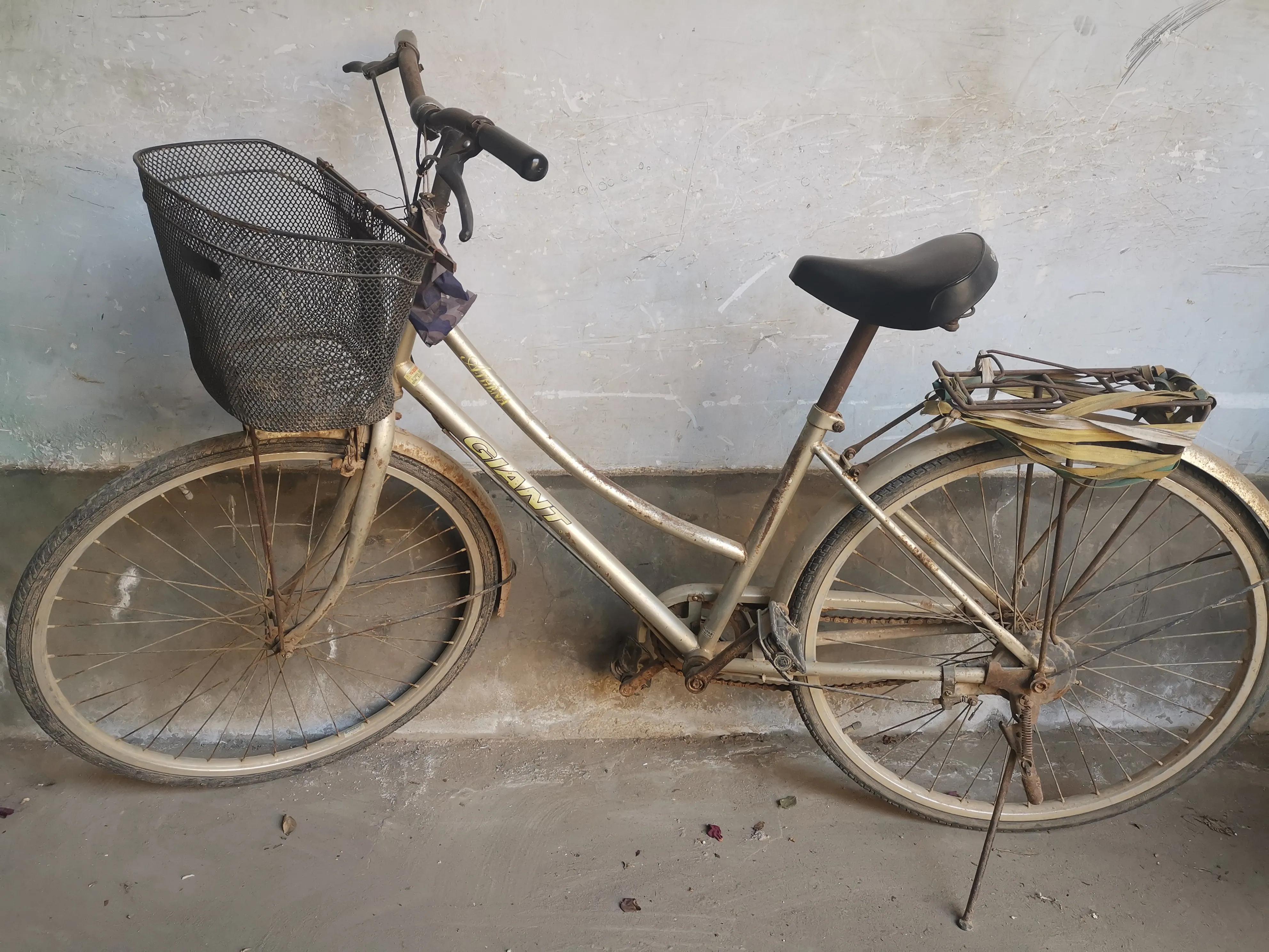 二手的捷安特自行车,二手捷安特折叠自行车多少钱