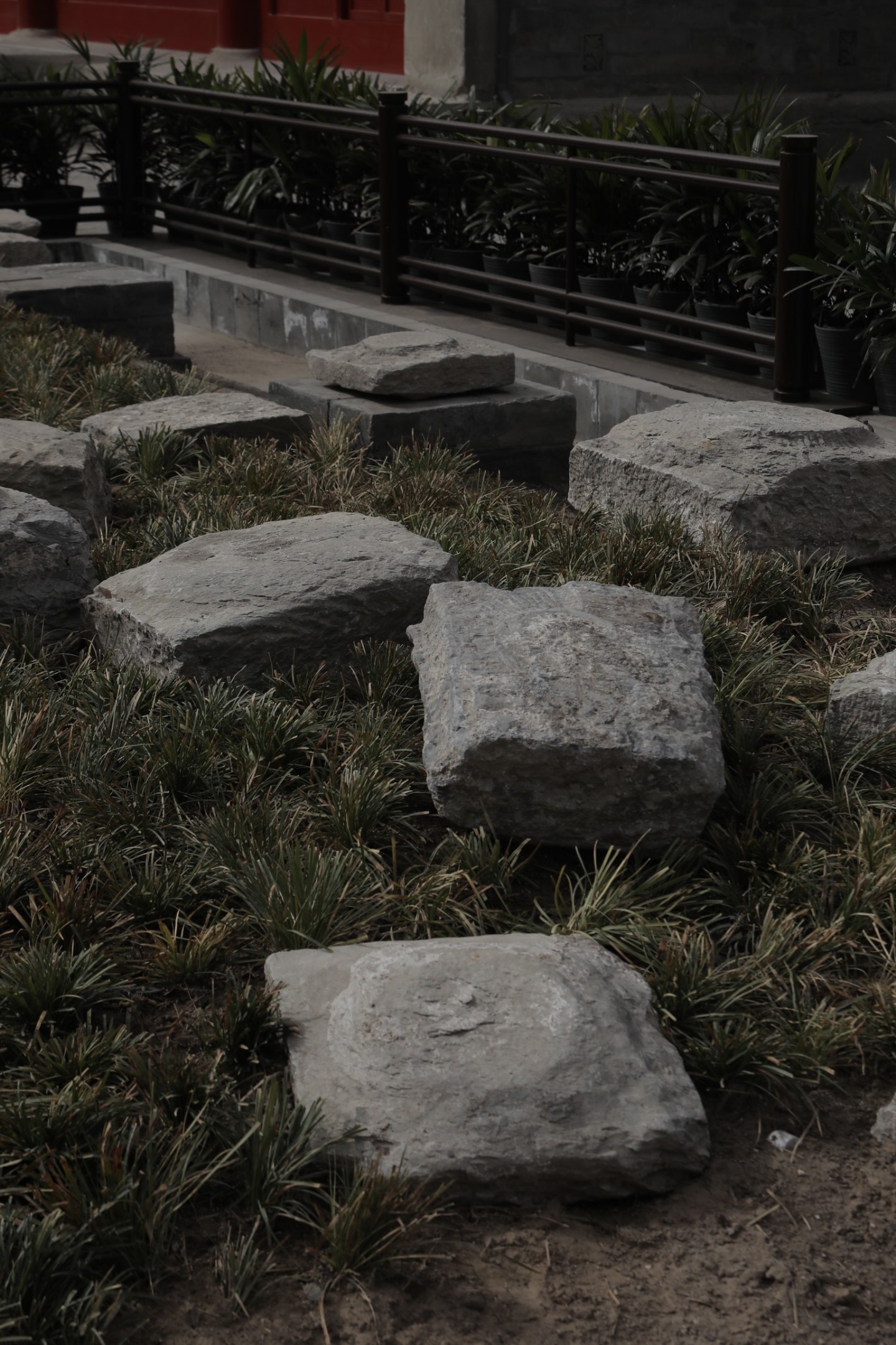 沧桑人景仰丨植槐栽藤,都要从诗人的词句里找线索