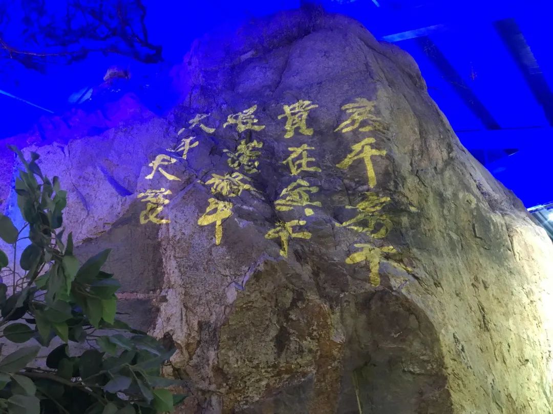 莱芜房干精神展馆要门票吗,房干精神展览馆