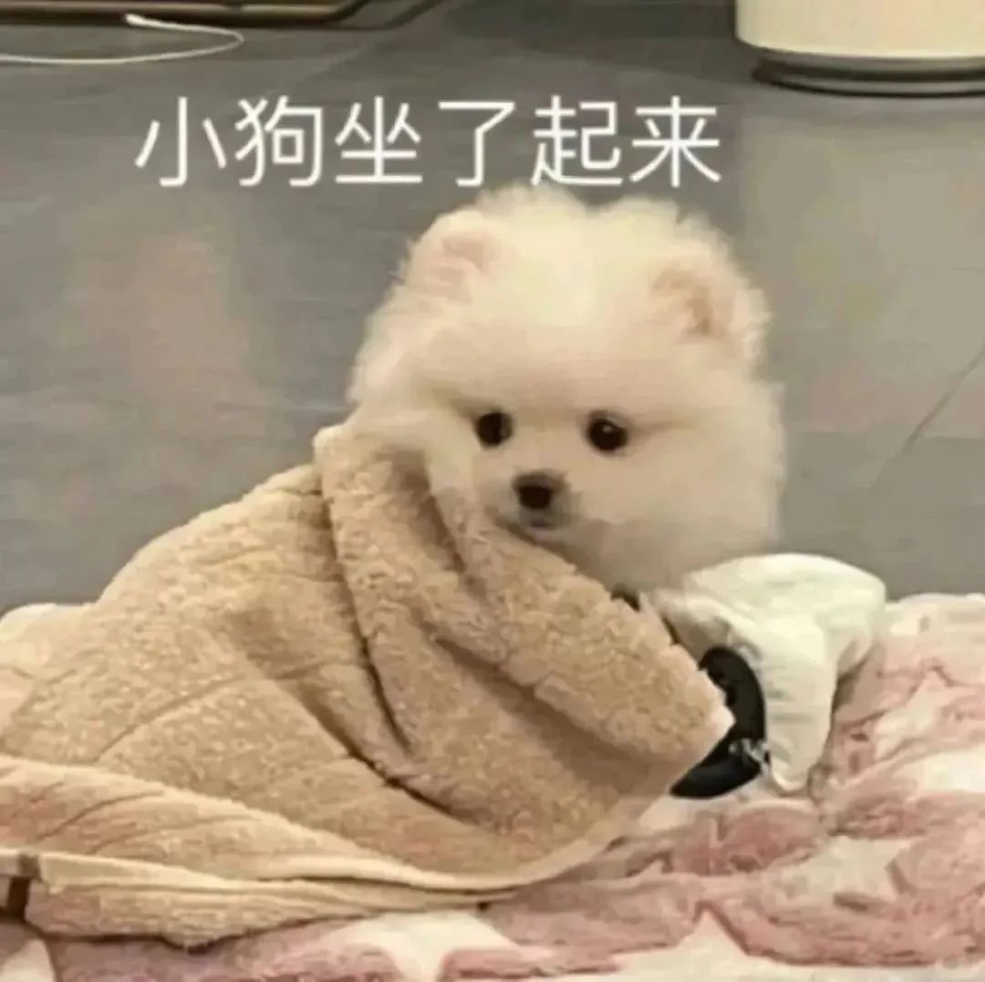 我涉嫌喜欢你表情包,今日任务喜欢你表情包