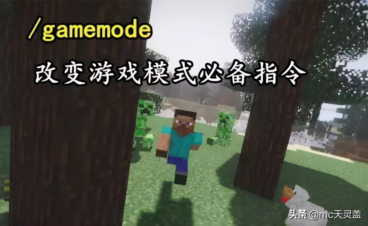 指令大全免费复制,指令大全手机版