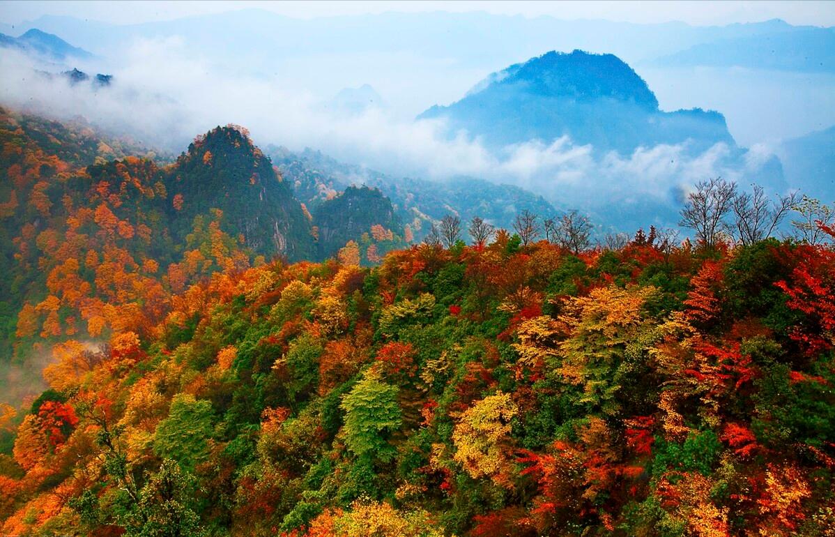 高山有意皆禅语,流水无情挂孤帆