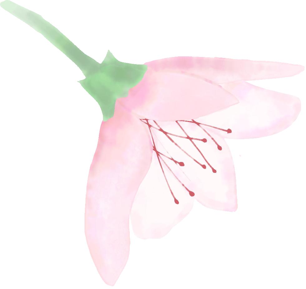 关于丁克的视频辩论,关于丁克的几个问题