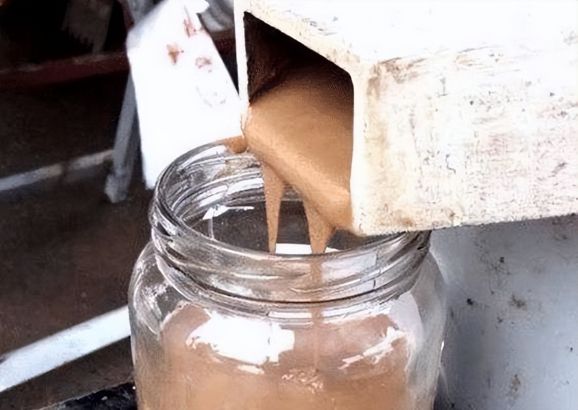 街边榨芝麻油的是真的油吗,街边现磨芝麻油骗局