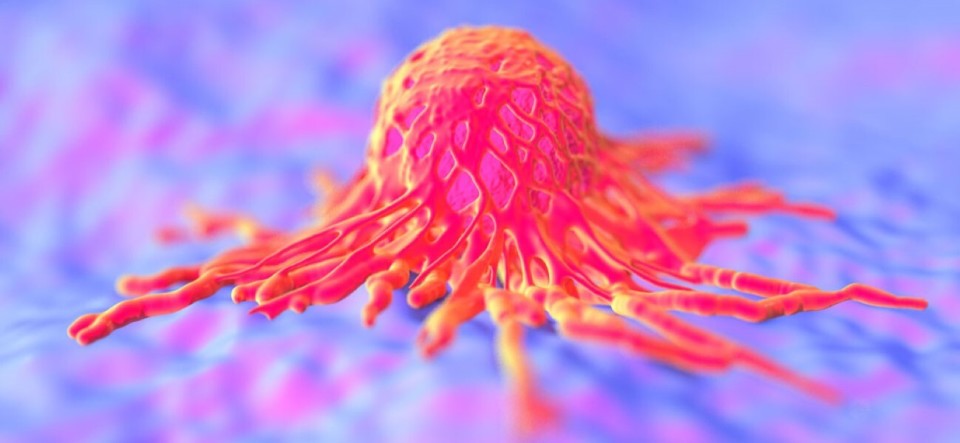 为什么2岁男童也会感染人类乳头瘤病毒？