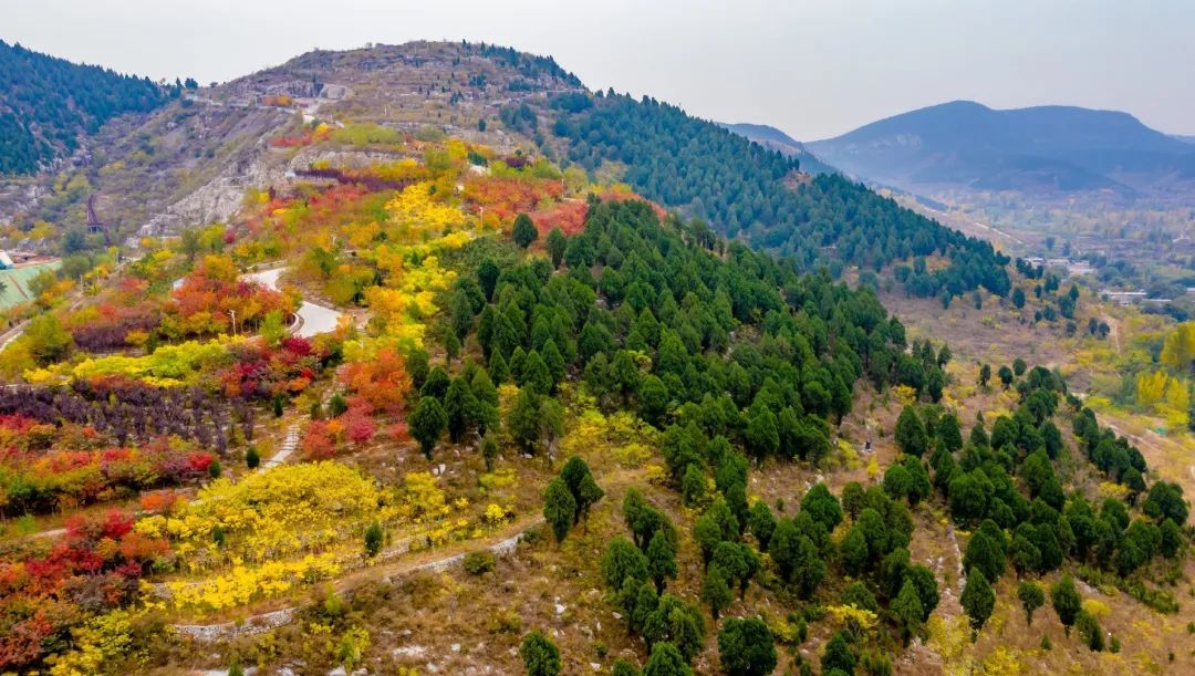 济南小众但是值得一去的地方,济南小众打卡圣地冬季