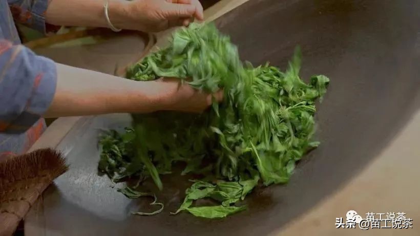 苗工说茶第三百三十五篇——再谈茶叶的“杀青”环节