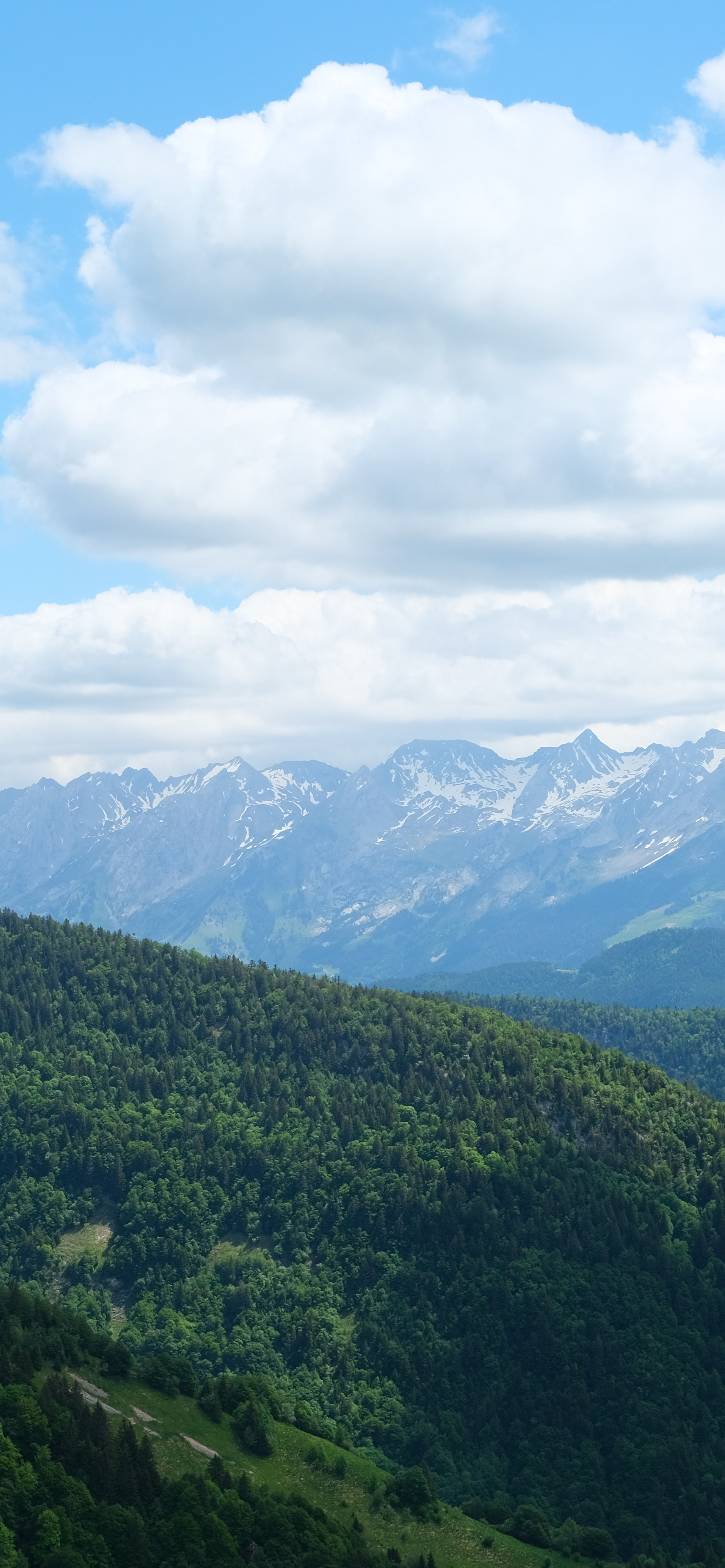 高清蓝天自然风景壁纸,动物自然风景高清壁纸