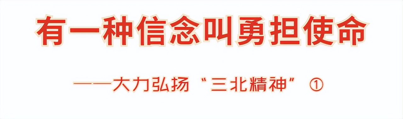内蒙古三北精神,内蒙古三北攻坚战