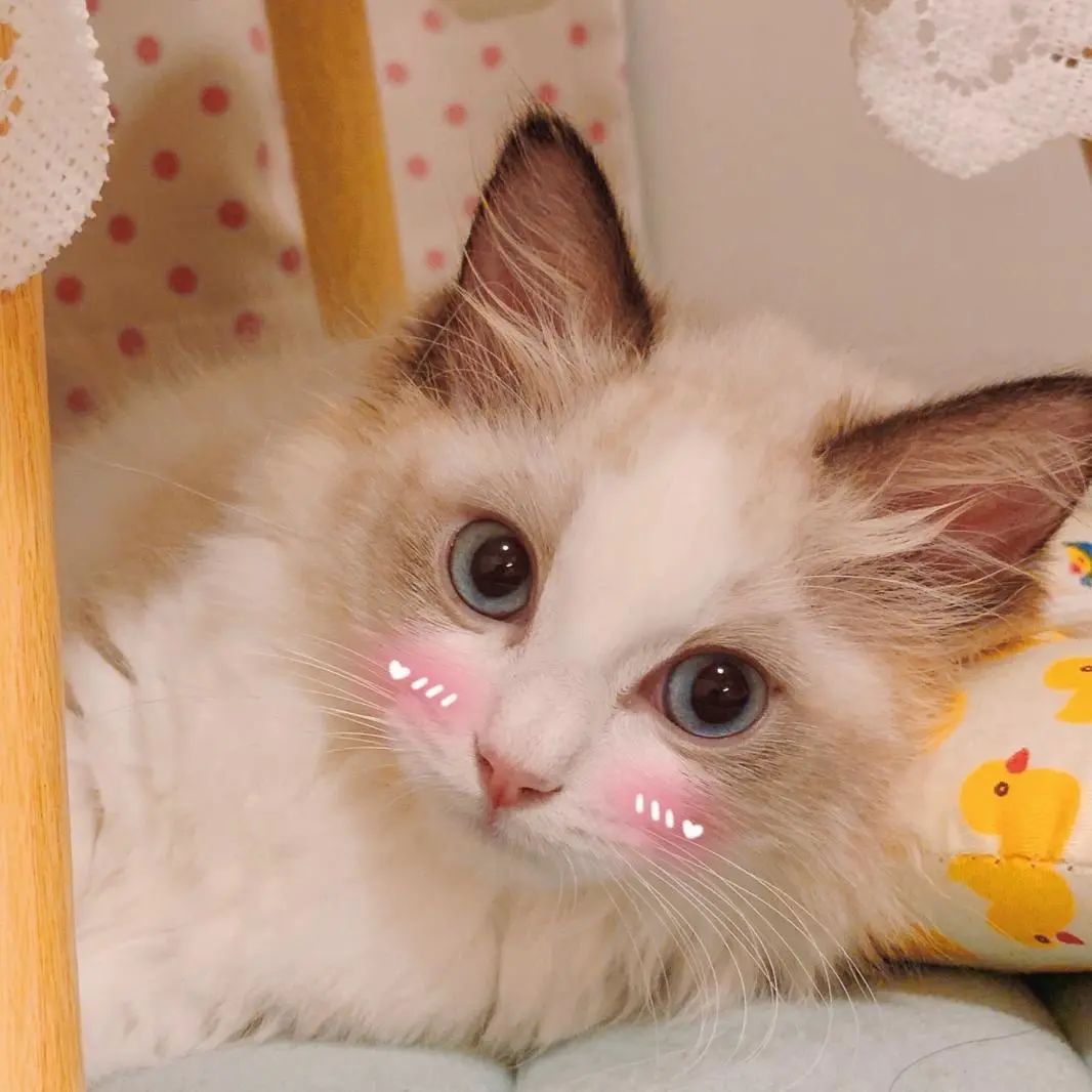 深圳机场巴士攻略,深圳机场晚间交通攻略