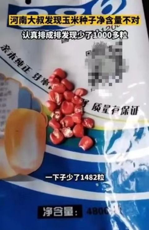 大叔买4800粒玉米种 (大叔买的玉米种子少了1480粒)
