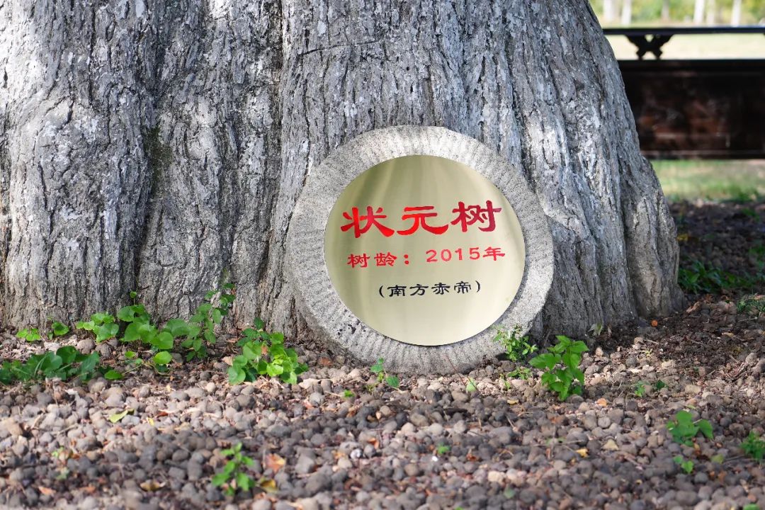 随州旅游景区夜景,随州大洪山金顶看日出