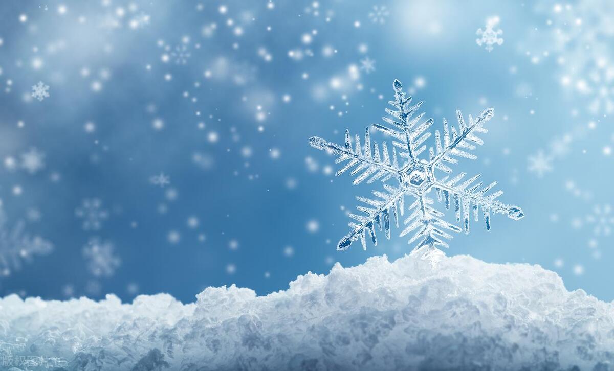 小学英语单词打卡跟读,小学英语单词每日打卡