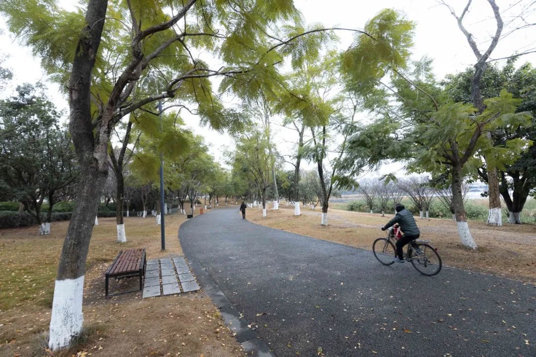 10个城市宝藏,成都还有哪些宝藏公园