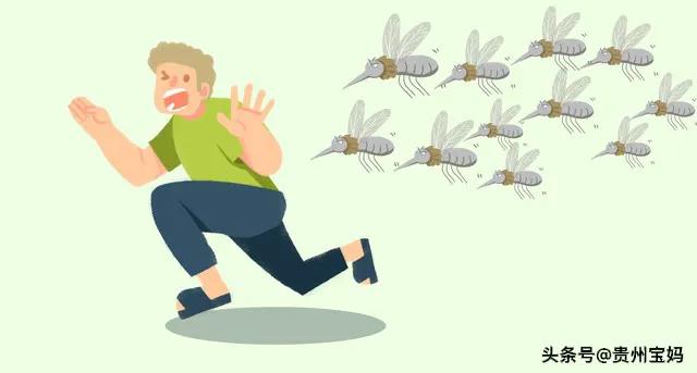 蚊子是怎么吸人类的血的,蚊子为什么要冒着生命危险吸人血