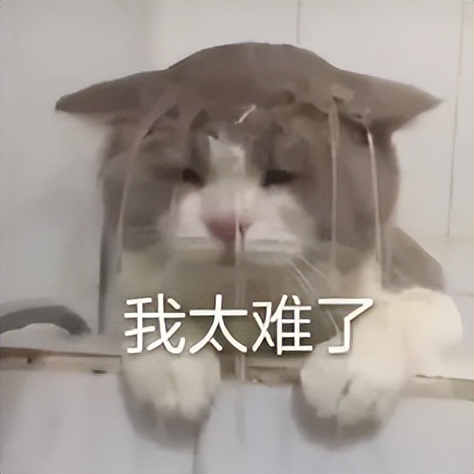 宁波夫妻辞职创业，城中村开早餐店却一星期就转让：怀念打螺丝