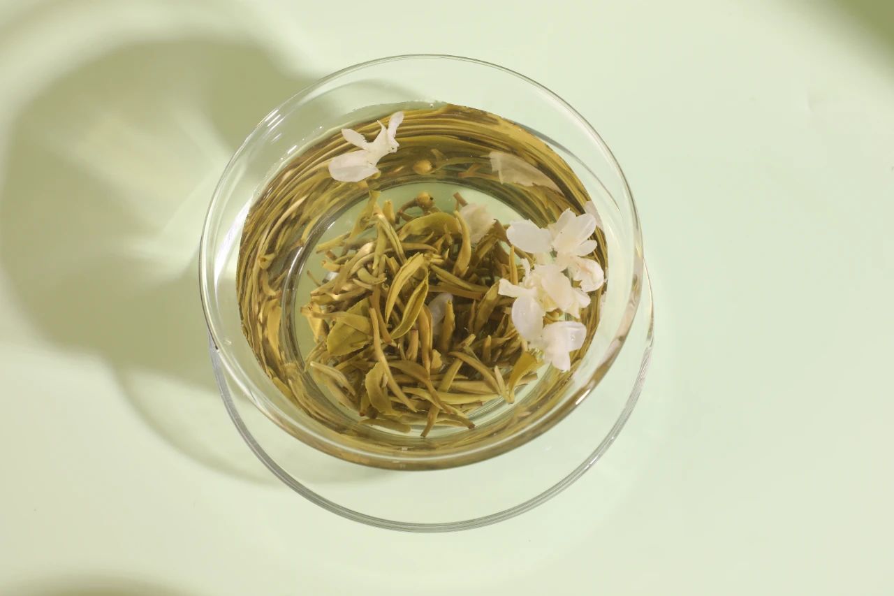 碧潭飘雪绿茶是什么茶,银针飘雪是什么茶