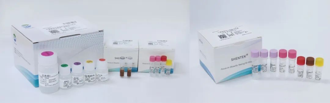 生物源材料去细胞化对受体反应的影响及评价方法