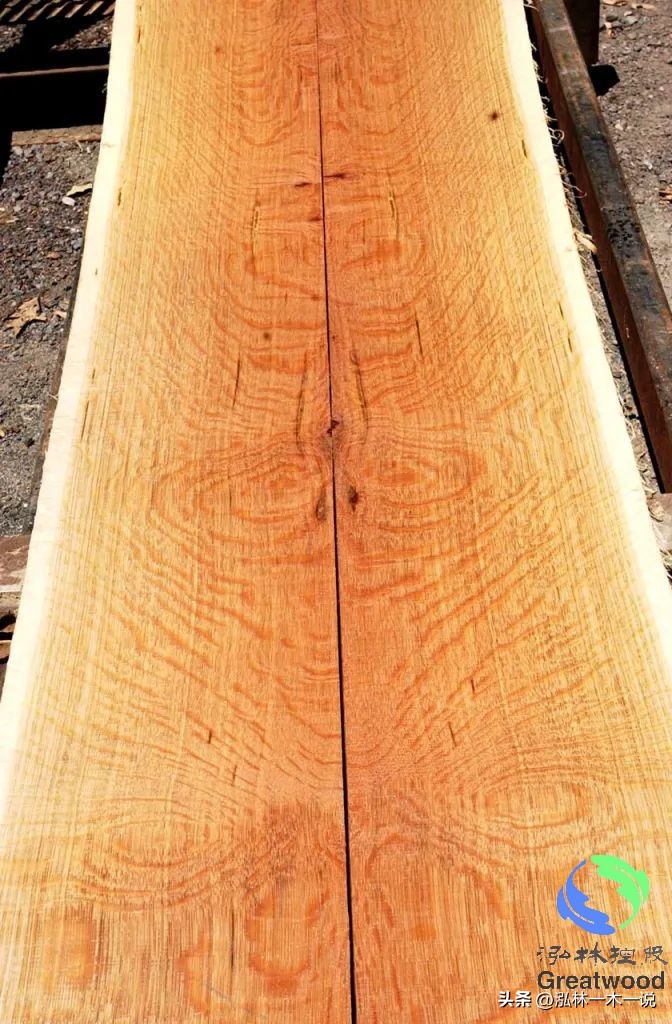 欧洲贵妇出轨被发现,欧洲白富美