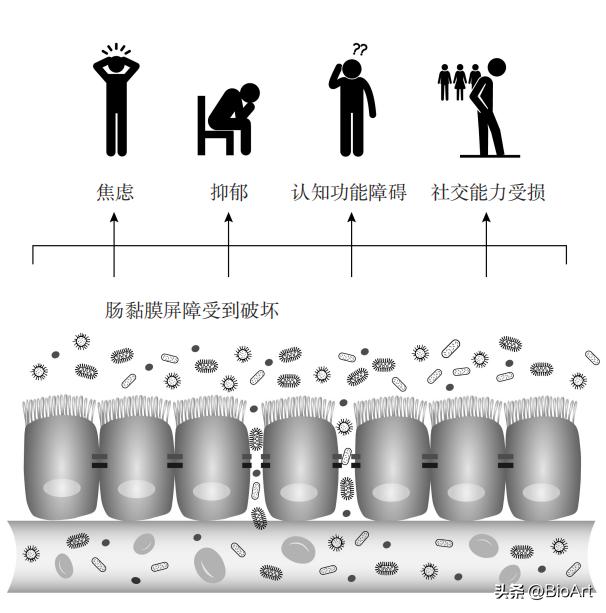 脑漏的真正原因,肠漏症和脑漏症