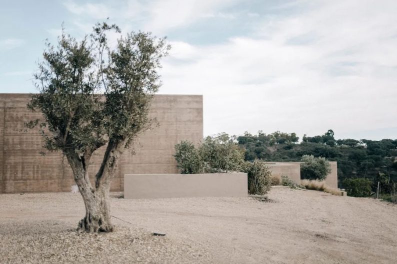 2022年流行的婚礼风格,2022婚礼流行趋势极简