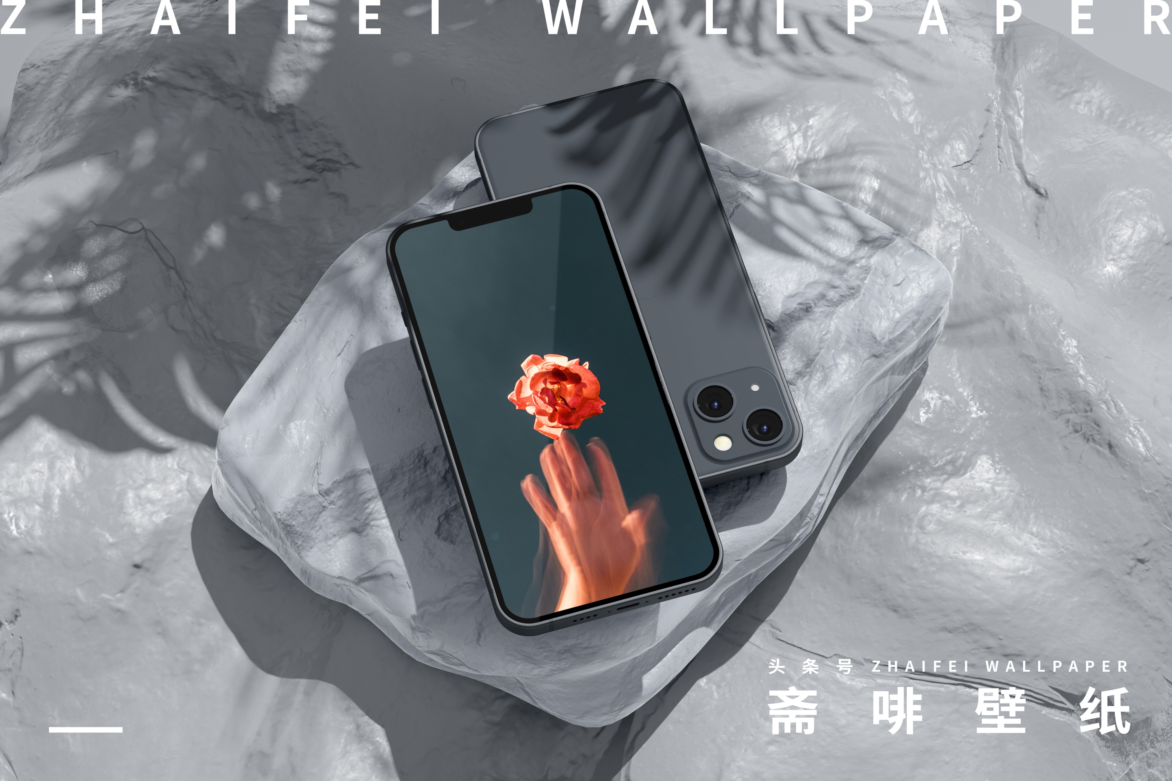 苹果专用壁纸全屏花,花图片壁纸高清全屏