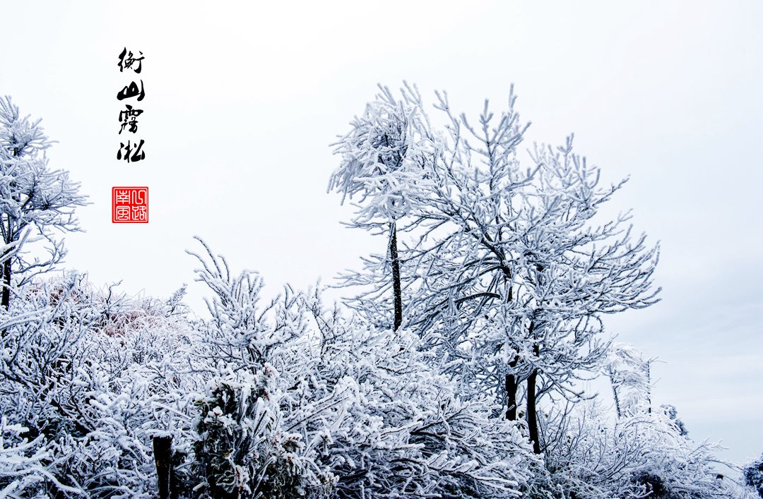 南岳衡山雾凇12月21号还有雾凇吗,这个冬天相约南岳衡山观最美雾凇