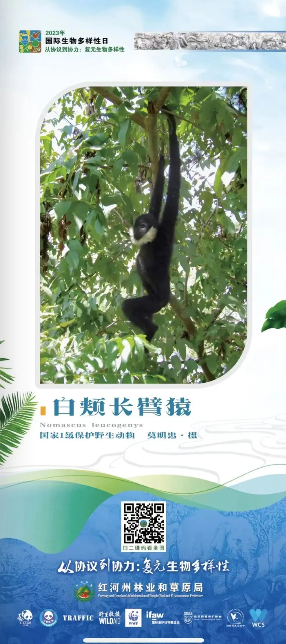 湖北省聘任制公务员招聘公告,聘任制公务员招聘公告山东