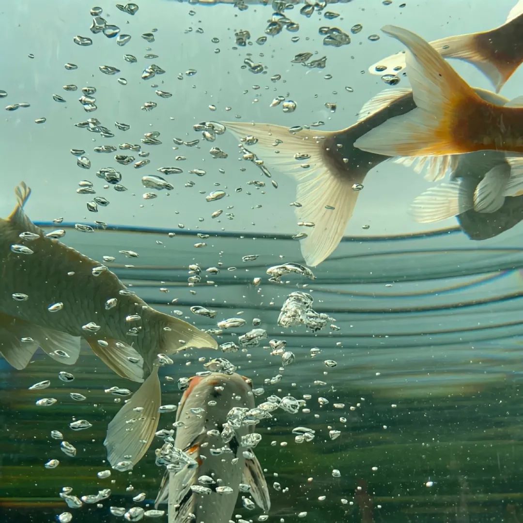 朋友圈背景图片文字,朋友圈背景图女生